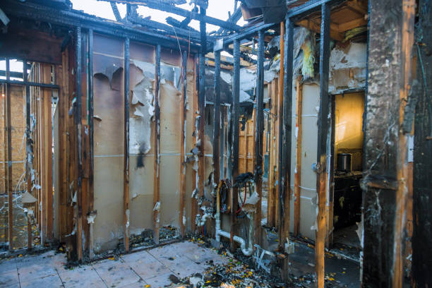 Professional Odor Removal technician working in Austin, TX