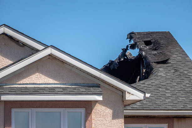 Top rated local Odor Removal specialists in Austin, TX